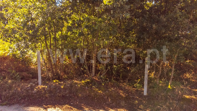 Terreno para Construção  Paredes de Coura, Rubiães - 1428362 - 12