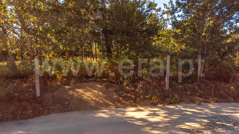 Terreno para Construção  Paredes de Coura, Rubiães - 1428362 - 13