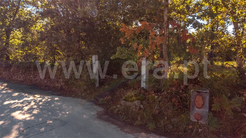 Terreno para Construção  Paredes de Coura, Rubiães - 1428362 - 14