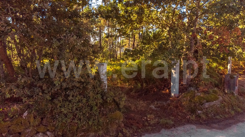Terreno para Construção  Paredes de Coura, Rubiães - 1428362 - 16