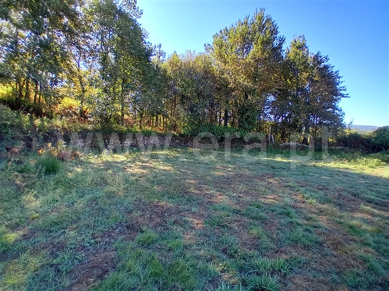 Terreno para Construção  Paredes de Coura, Rubiães - 1510995 - 12