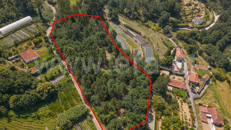 Terreno para Construção / Paredes de Coura, Rubiães