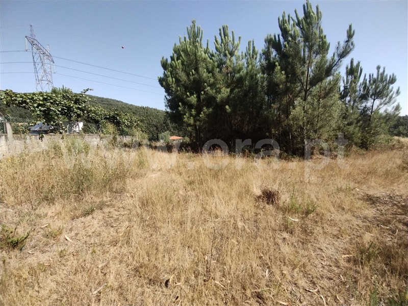 Terreno para Construção / Paredes, Gandra