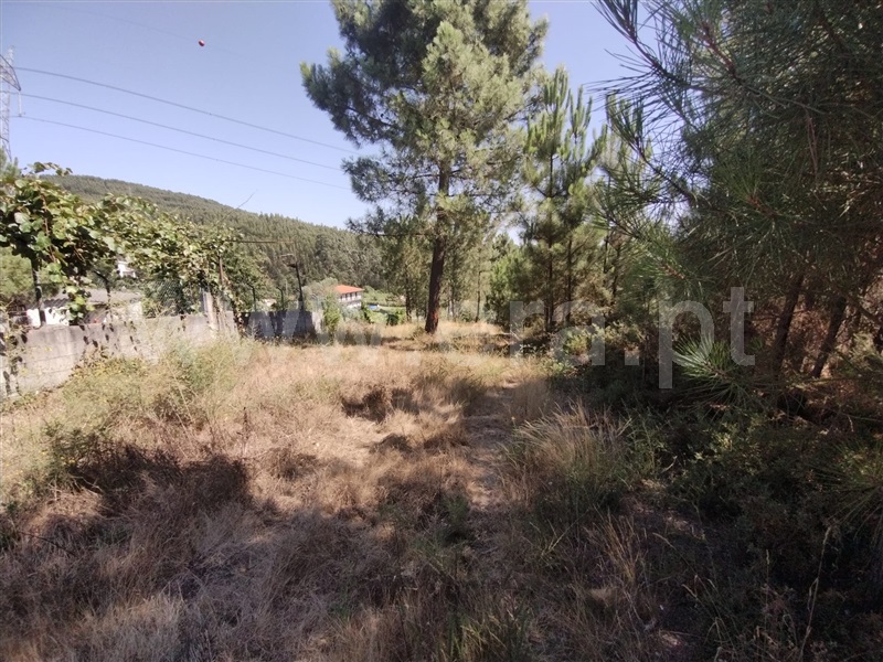 Terreno para Construção  Paredes, Gandra - 1263301 - 3