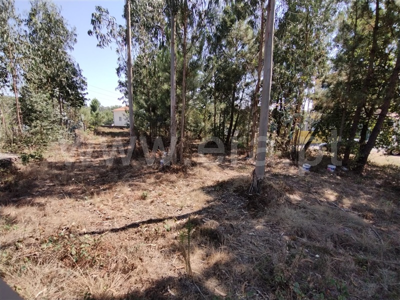 Terreno para Construção  Paredes, Gandra - 1263947 - 2