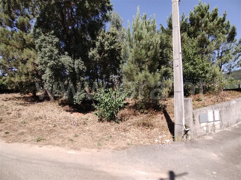 Terreno para Construção  Paredes, Gandra - 1263947 - 3