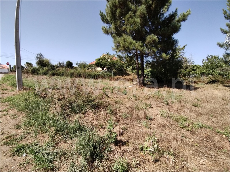 Terreno para Construção  Paredes, Gandra - 1263947 - 4