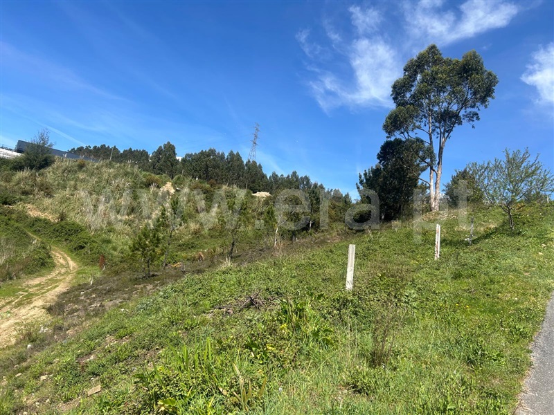 Terreno para Construção / Paredes, Gandra