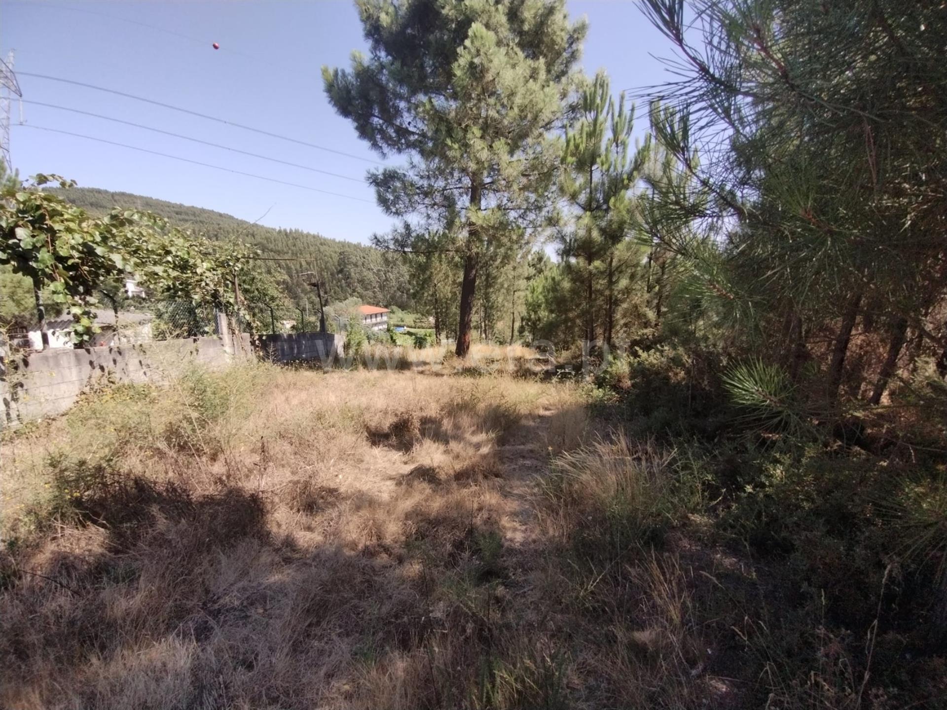 Land for sale in Paredes, Portugal — €68,000