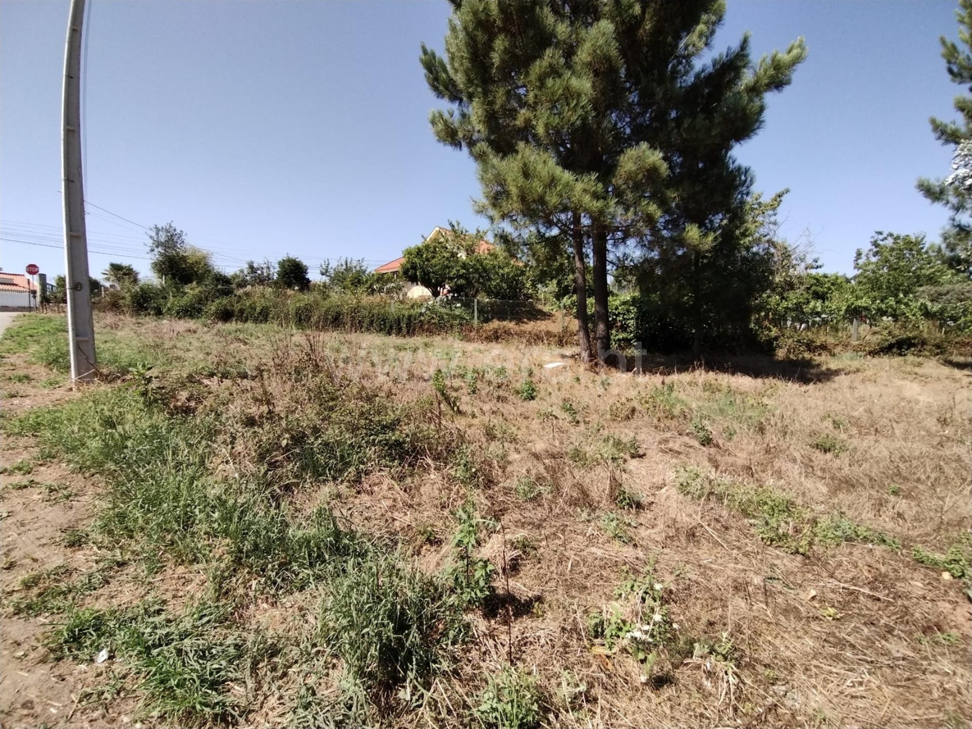 Land for sale in Paredes, Portugal — €89,000