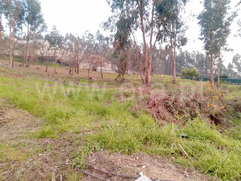 Terreno para Construção  Paredes, Louredo - 1155285 - 3