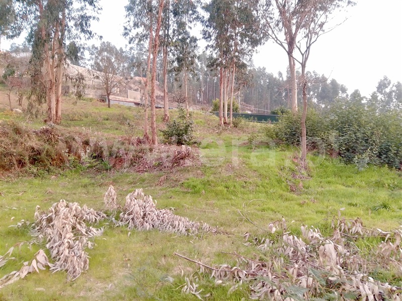 Terreno para Construção  Paredes, Louredo - 1155285 - 4
