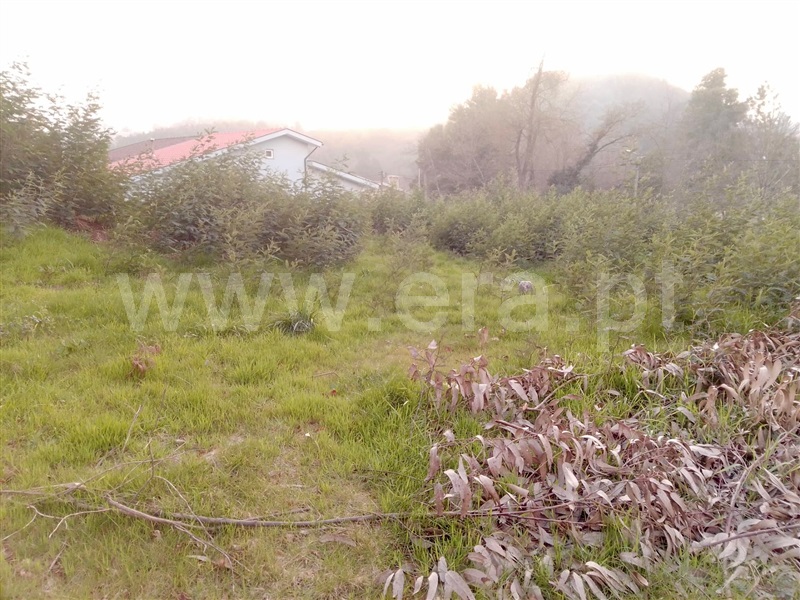 Terreno para Construção  Paredes, Louredo - 1155285 - 5