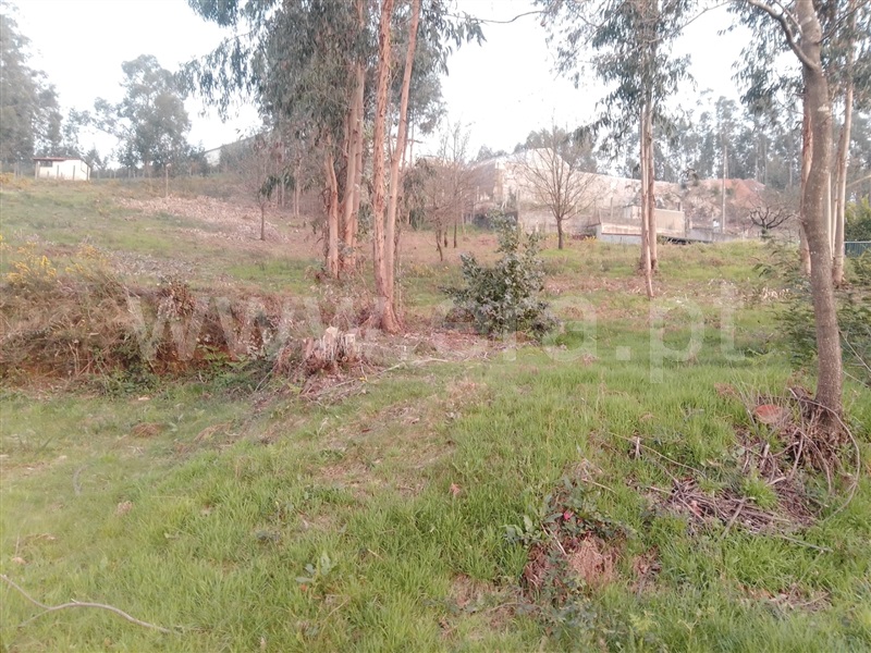 Terreno para Construção  Paredes, Louredo - 1155285 - 6
