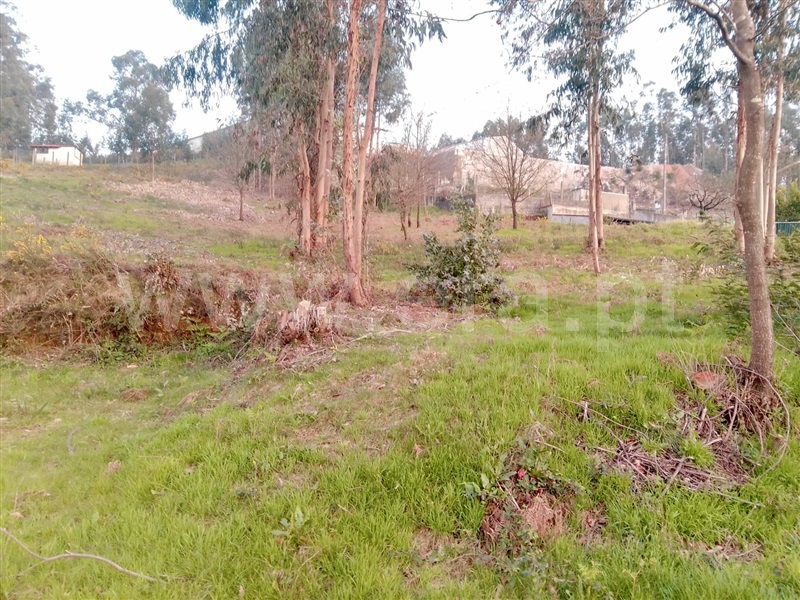 Terreno para Construção  Paredes, Louredo - 1155285 - 7