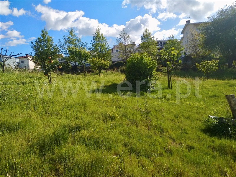 Terreno para Construção  Paredes, Louredo - 1243404 - 4