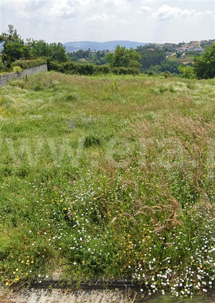 Terreno para Construção  Paredes, Louredo - 1341710 - 4