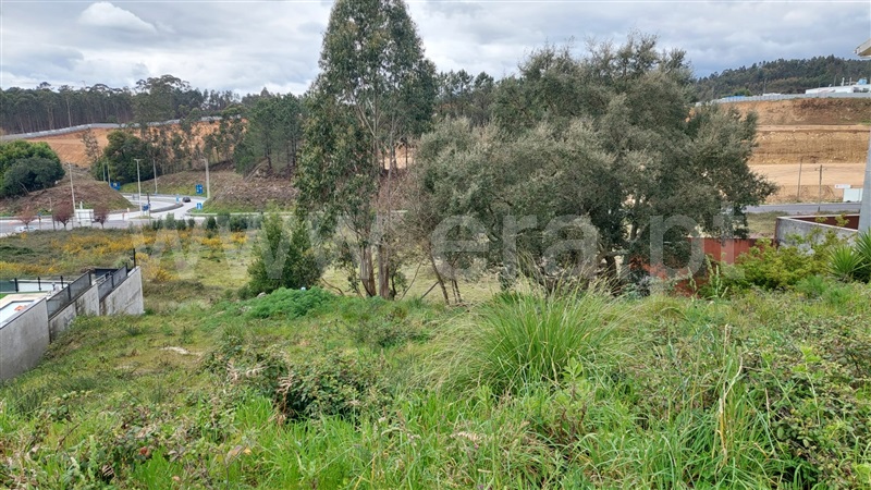 Terreno para Construção  Paredes, Parada de Todeia - 1471552 - 12