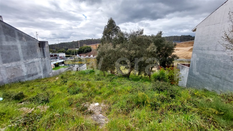 Terreno para Construção  Paredes, Parada de Todeia - 1471552 - 13