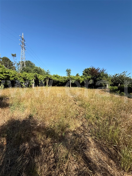 Terreno  Paredes - 1490166 - 3