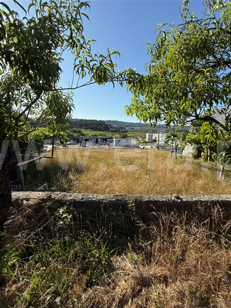 Terreno  Paredes - 1490166 - 4