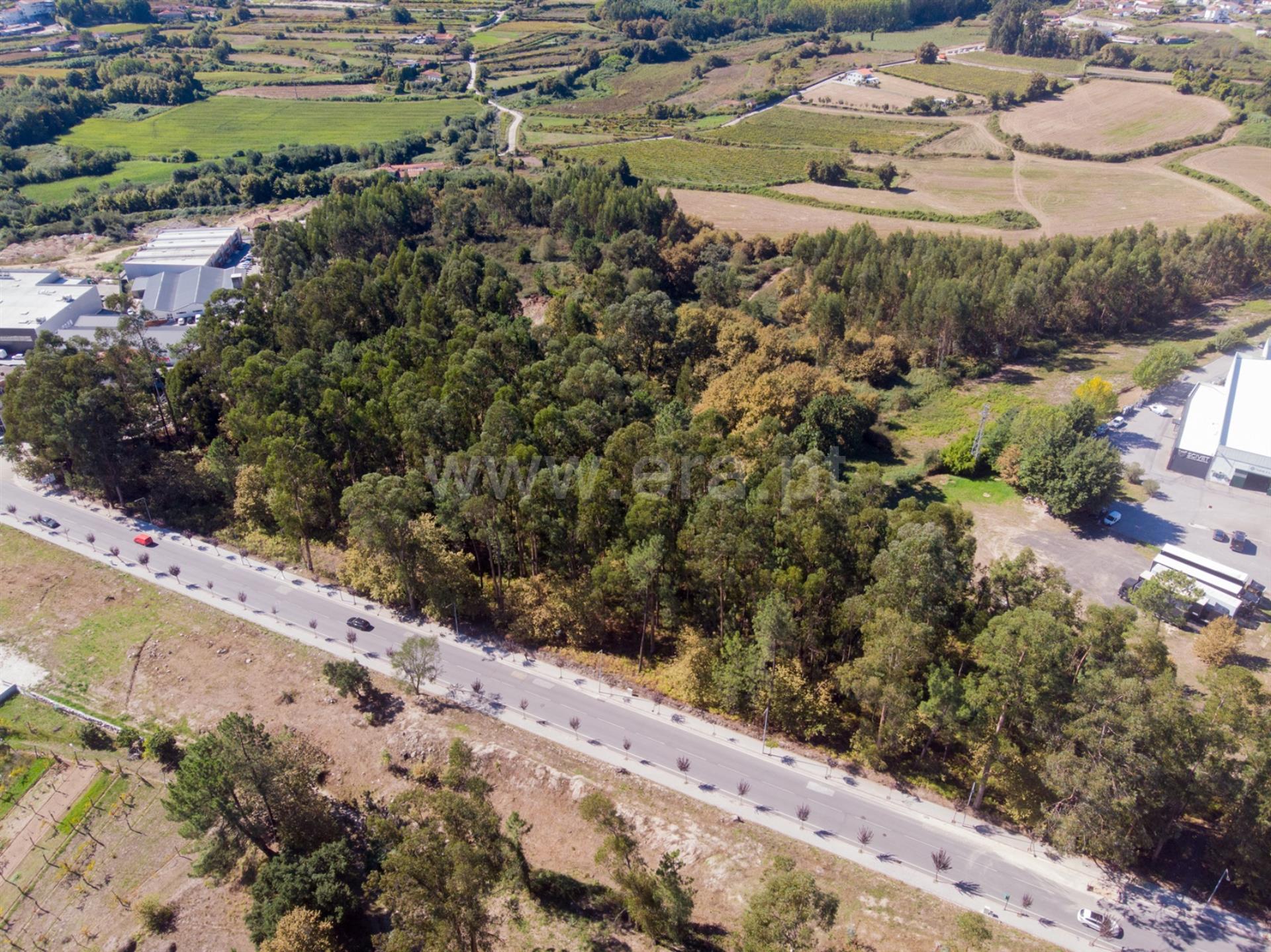 Land for sale in Paredes, Portugal — €4,500,000