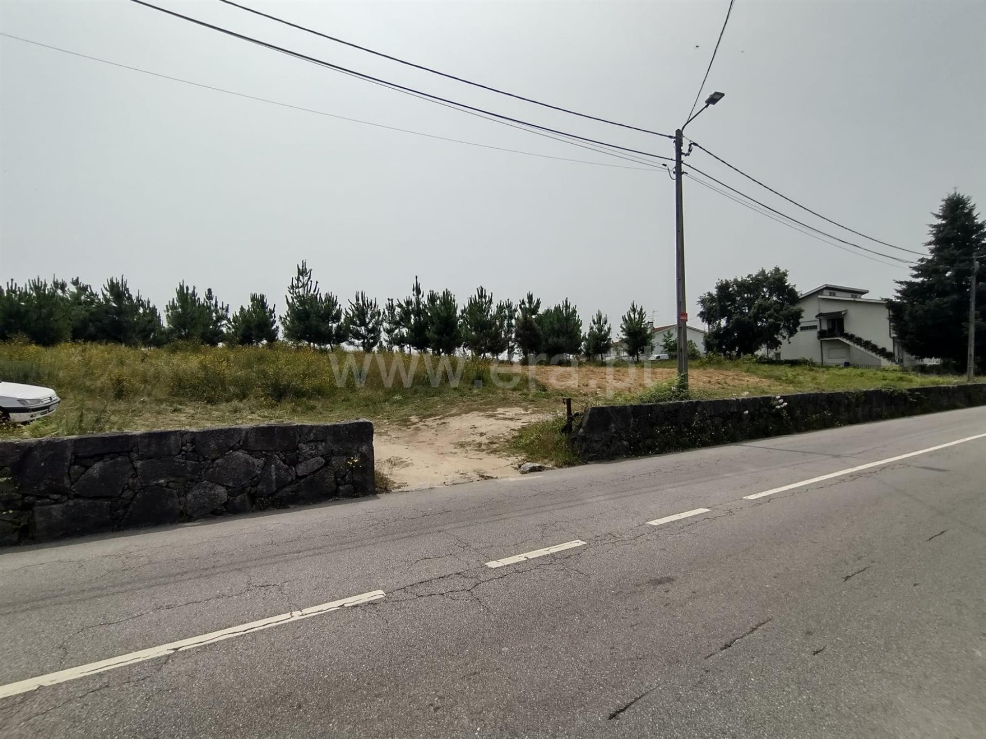 Land for sale in Paredes, Portugal — €1,150,000