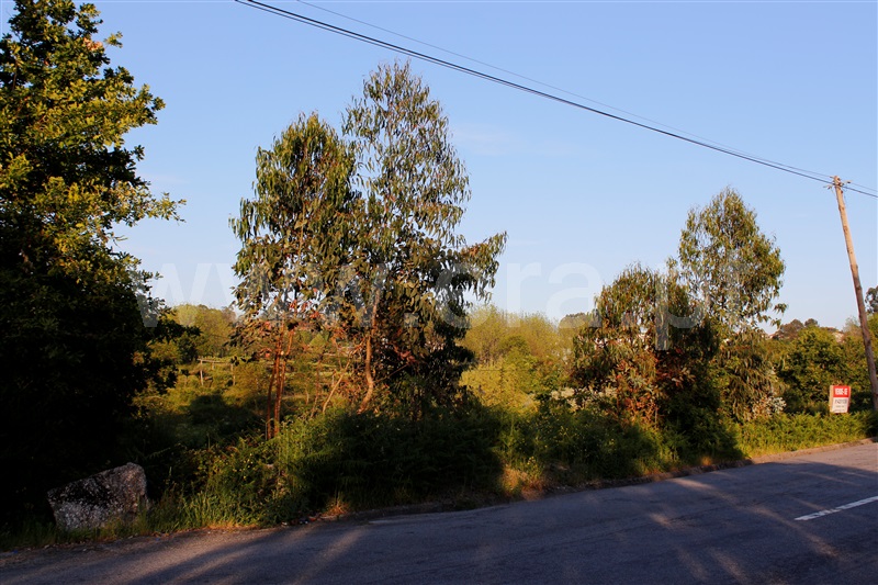 Terreno para Construção / Paredes, Rebordosa