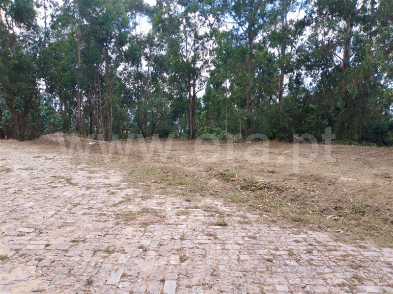 Terreno para Construção  Paredes, Rebordosa - 1263219 - 2