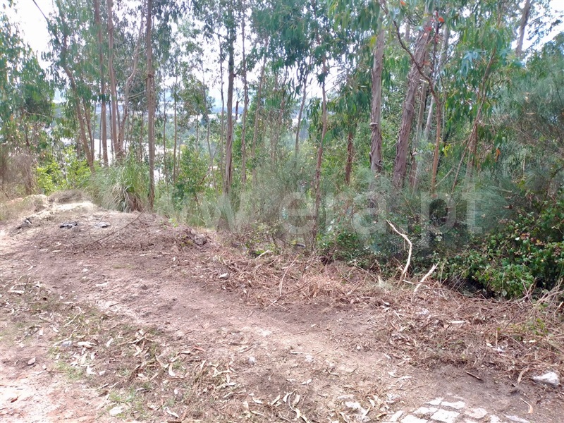 Terreno para Construção  Paredes, Rebordosa - 1263219 - 3