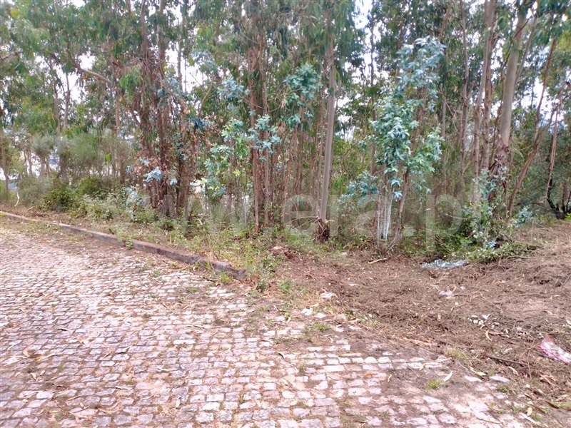 Terreno para Construção  Paredes, Rebordosa - 1263219 - 4