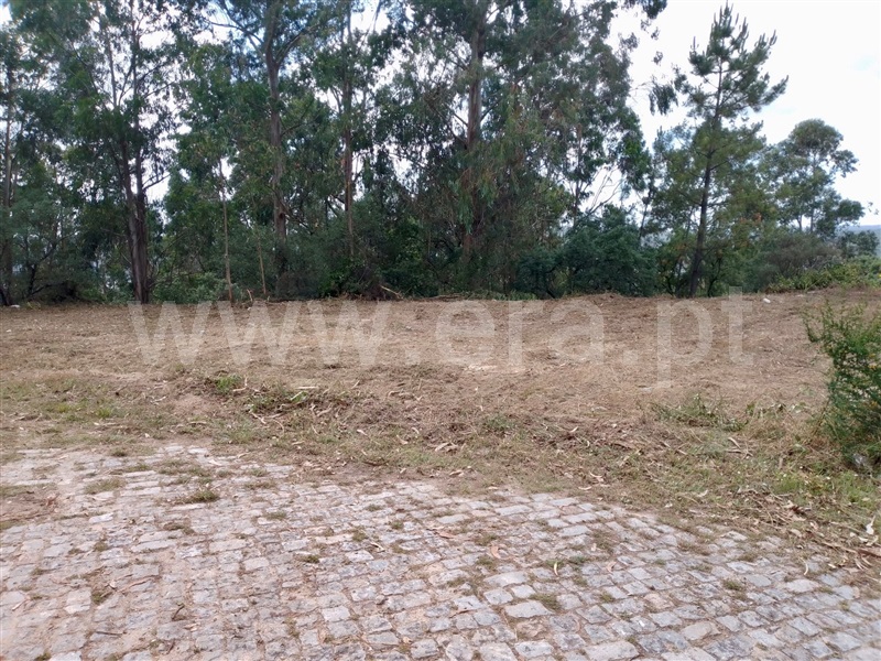Terreno para Construção  Paredes, Rebordosa - 1263219 - 5