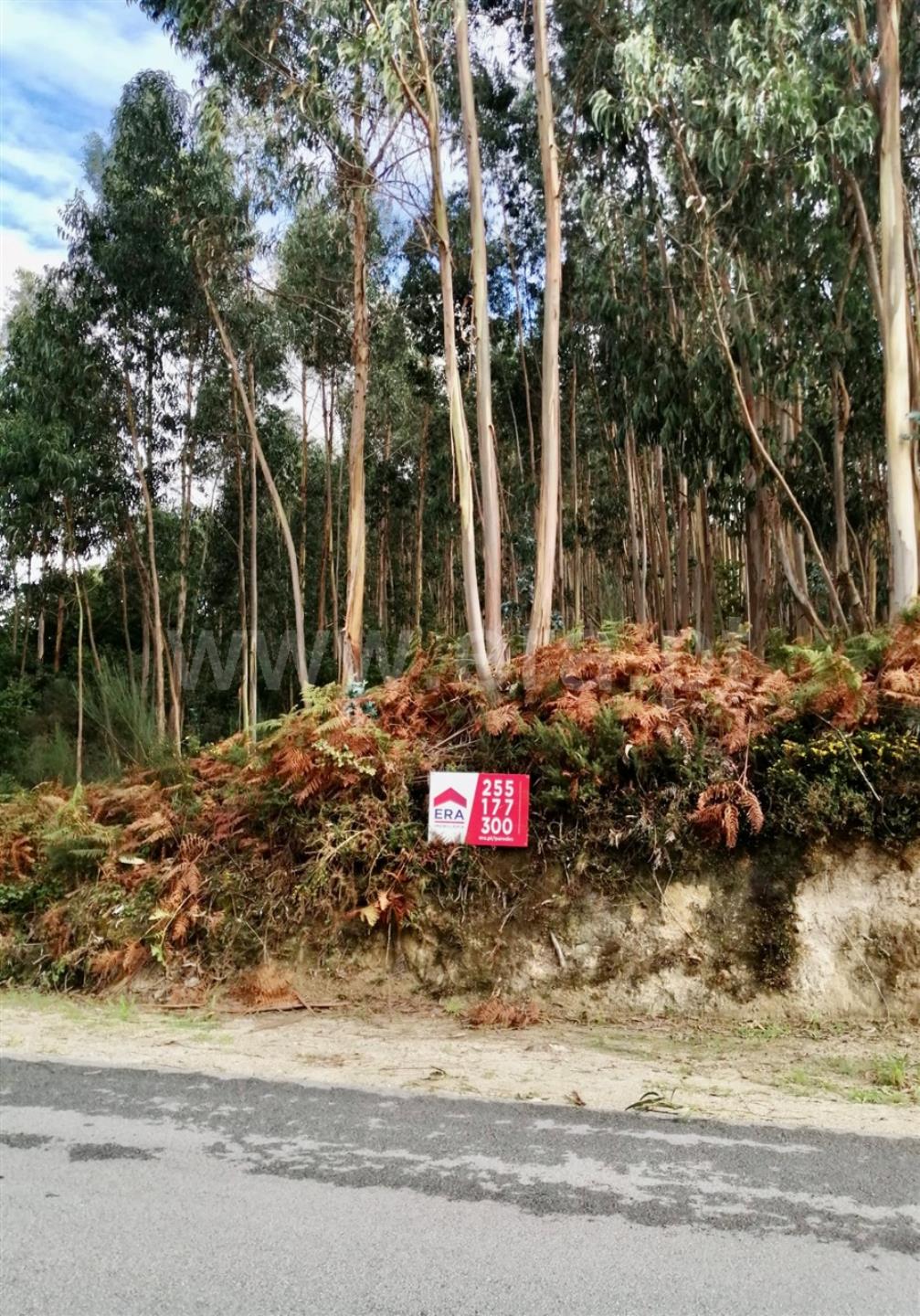 Land for sale in Paredes, Portugal — €378,000