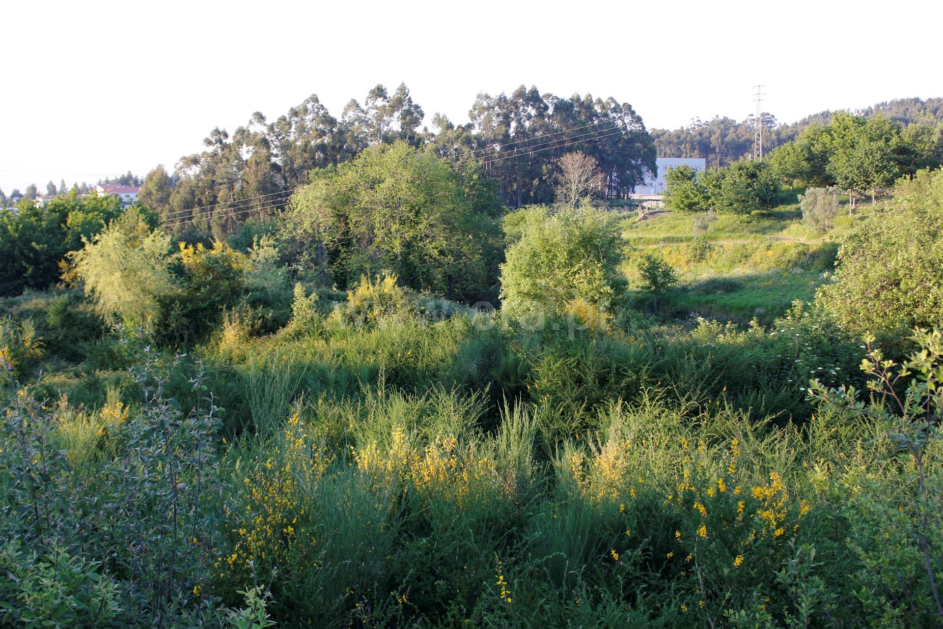 Land for sale in Paredes, Portugal — €107,000