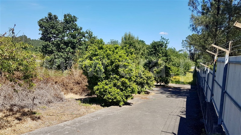 Terreno para Construção  Paredes, Recarei - 1254454 - 2