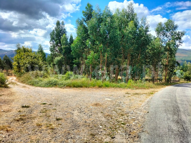 Terreno para Construção / Paredes, Recarei