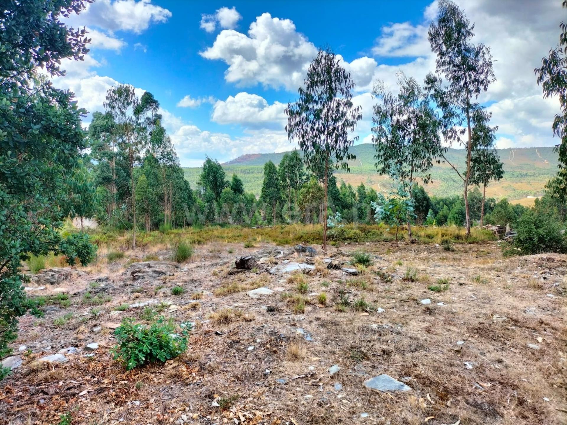 Land for sale in Paredes, Portugal — €220,000