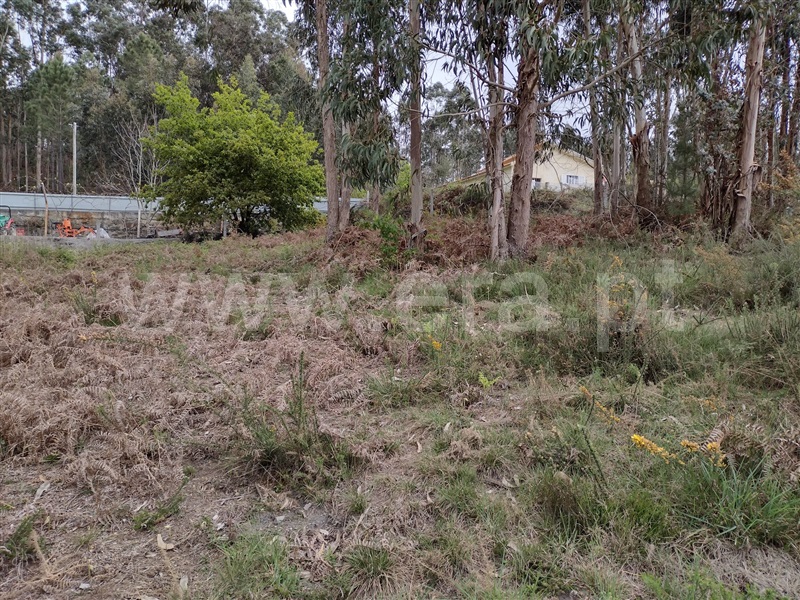 Terreno para Construção  Paredes, Sobreira - 1241802 - 7