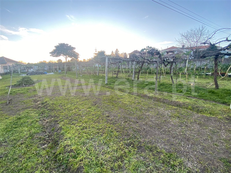 Terreno para Construção  Paredes, Sobrosa - 1221187 - 5