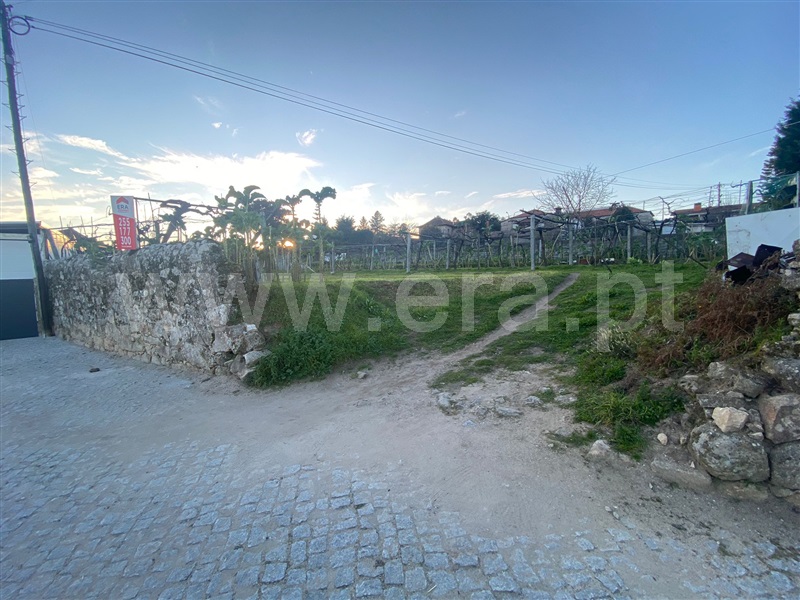 Terreno para Construção / Paredes, Sobrosa