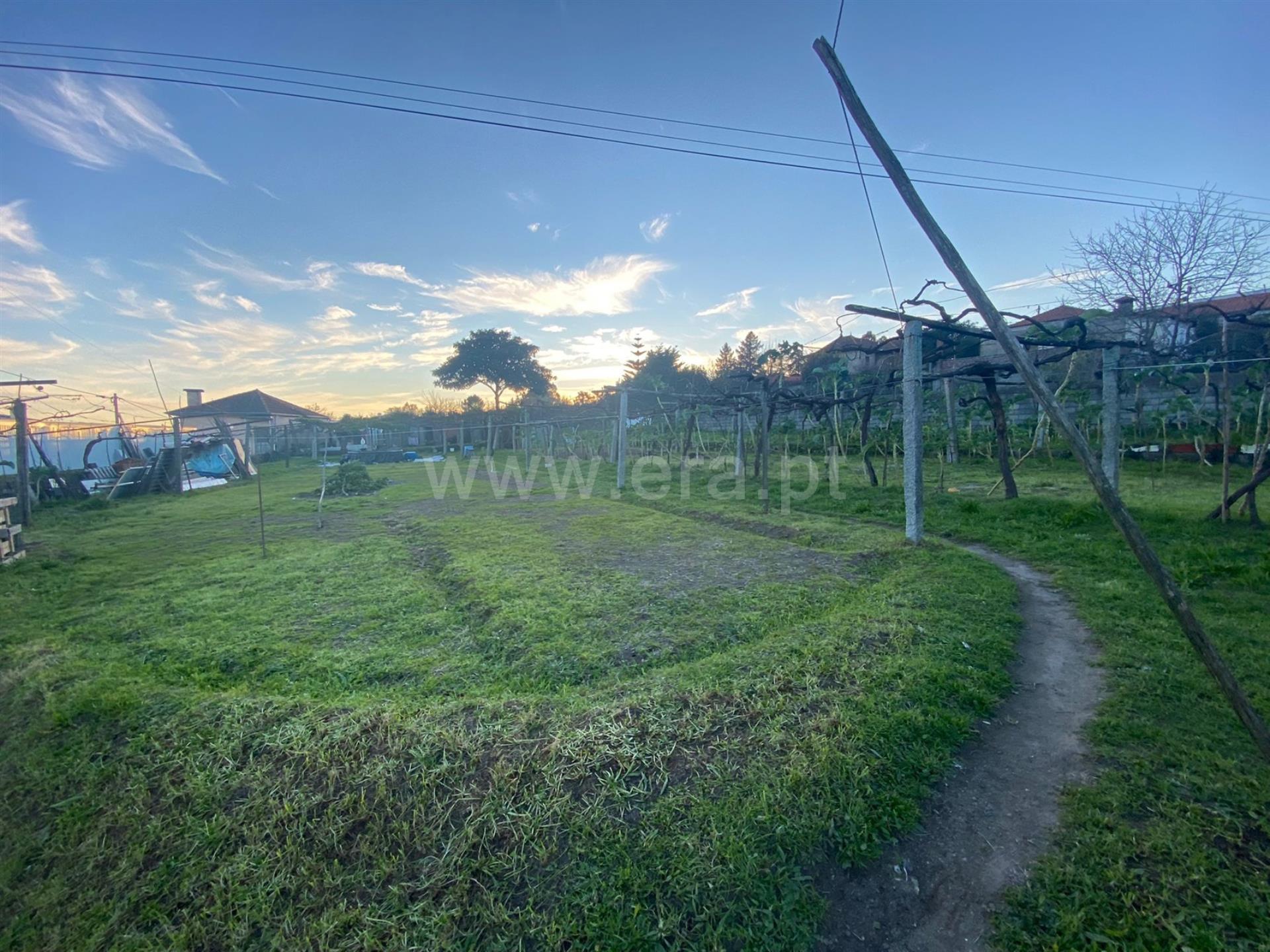 Land for sale in Paredes, Portugal — €85,000