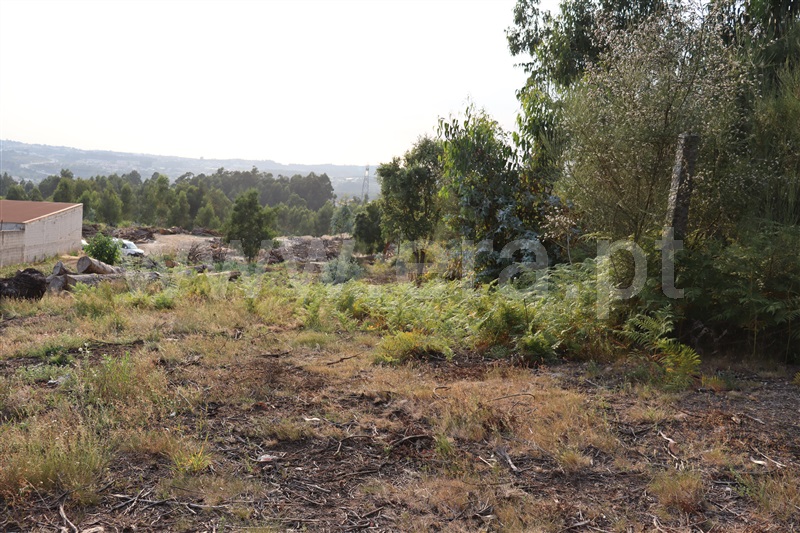 Terreno para Construção / Paredes, Vilela