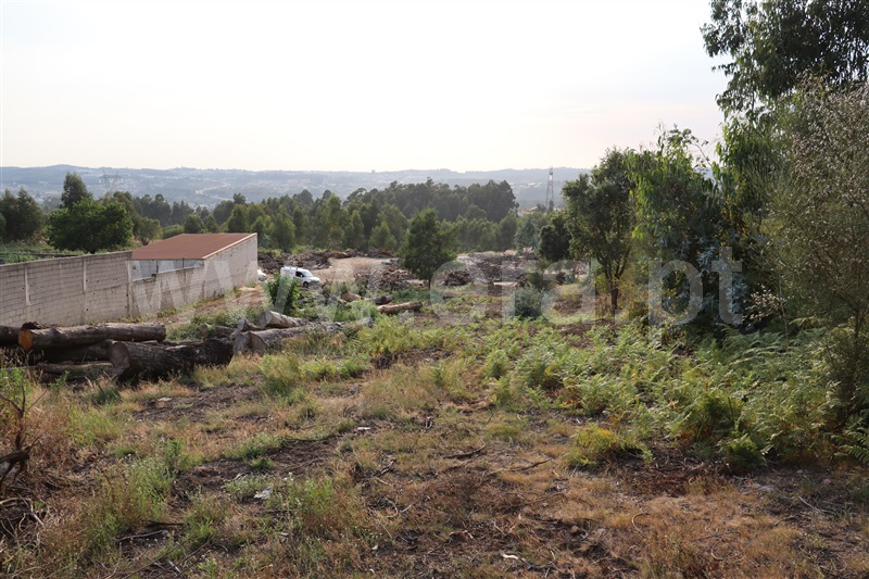 Lote Industrial  Paredes, Casteloes1 - 1261407 - 2