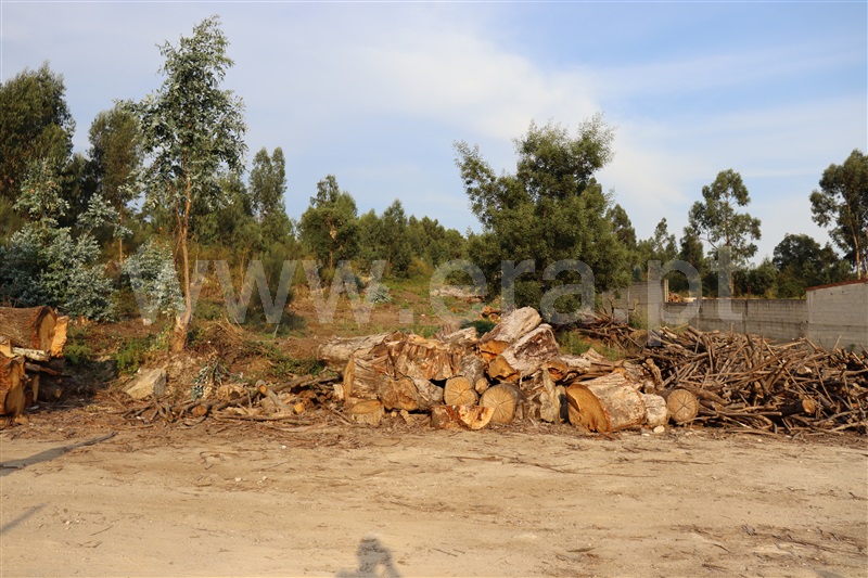 Lote Industrial  Paredes, Casteloes1 - 1261407 - 3