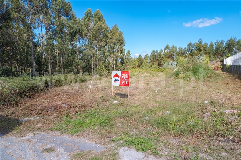 Terreno para Construção / Paredes, Vilela