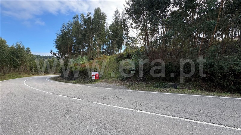 Terreno para Construção / Penacova, Lorvão