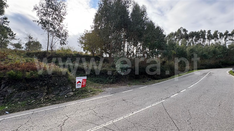 Terreno para Construção  com Rústico Penacova, Lorvão - 1435046 - 4