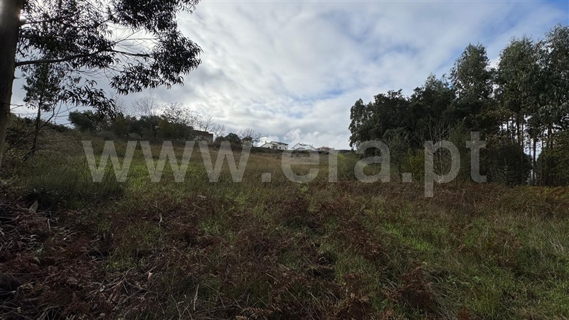 Terreno para Construção  com Rústico Penacova, Lorvão - 1435046 - 5