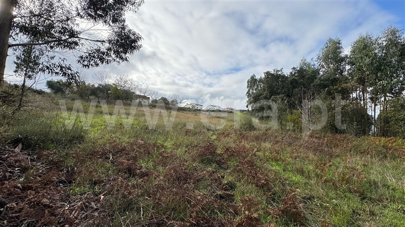 Terreno para Construção  com Rústico Penacova, Lorvão - 1435046 - 6