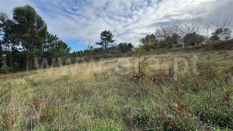 Terreno para Construção  com Rústico Penacova, Lorvão - 1435046 - 7